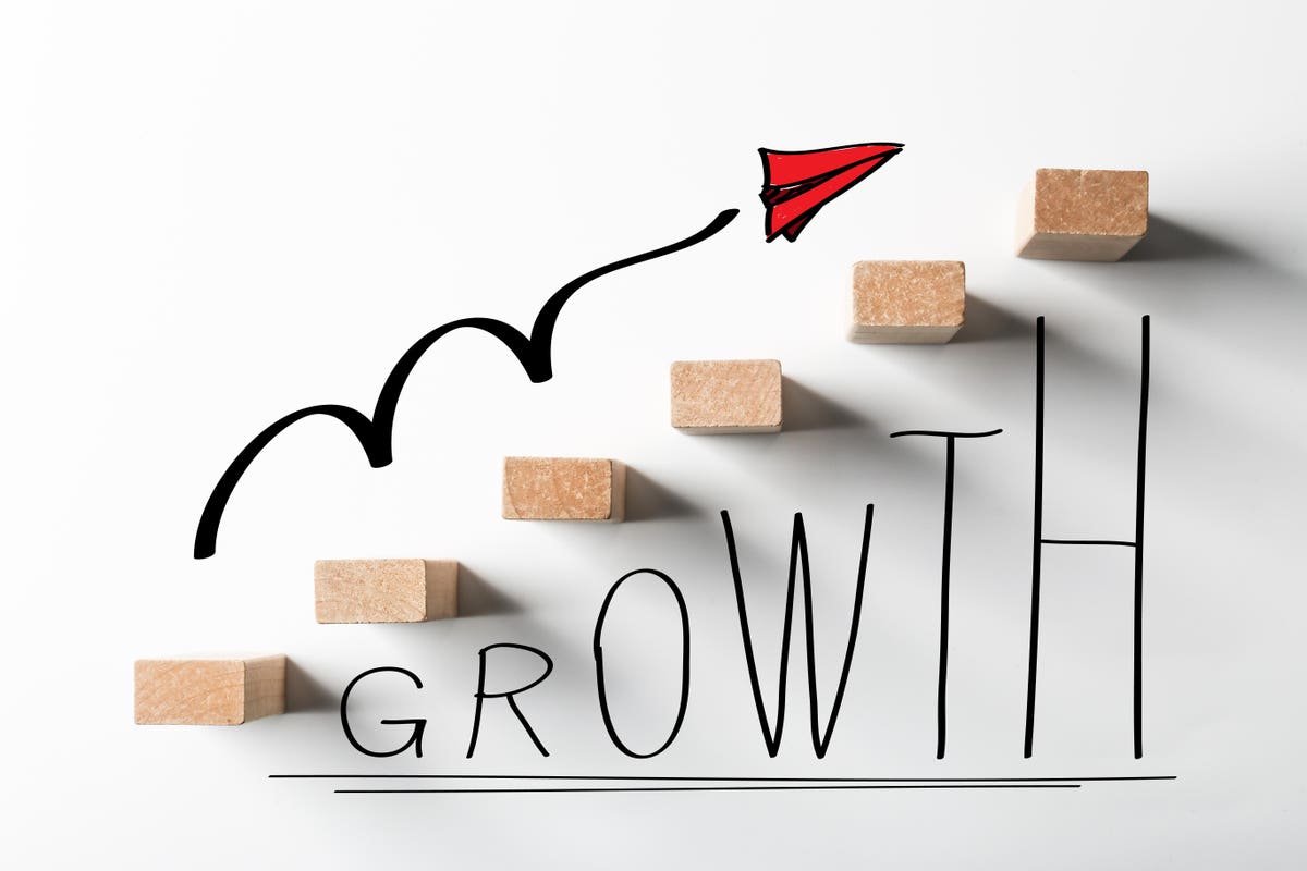 Strategies for Long Term Growth