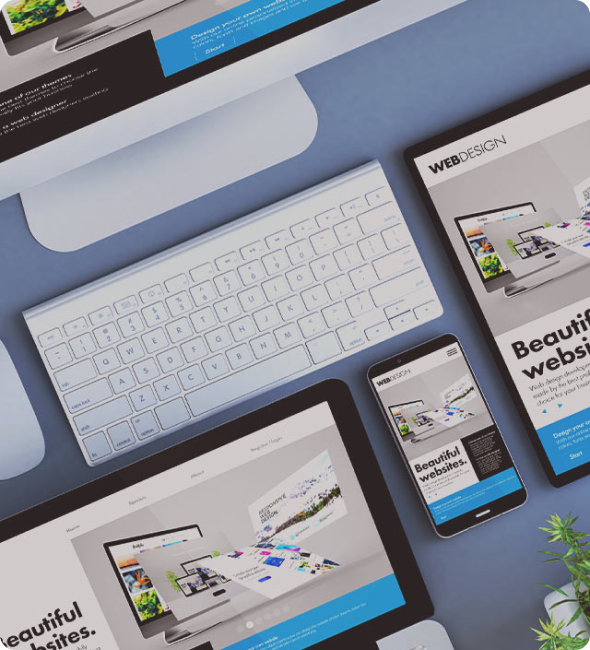 Website Design and Development